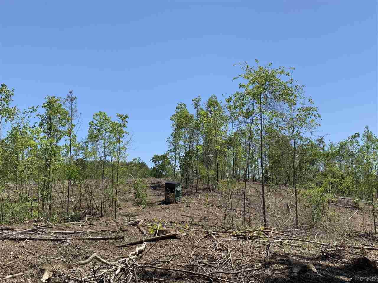 Wiggins Loop Rd - Photo 1