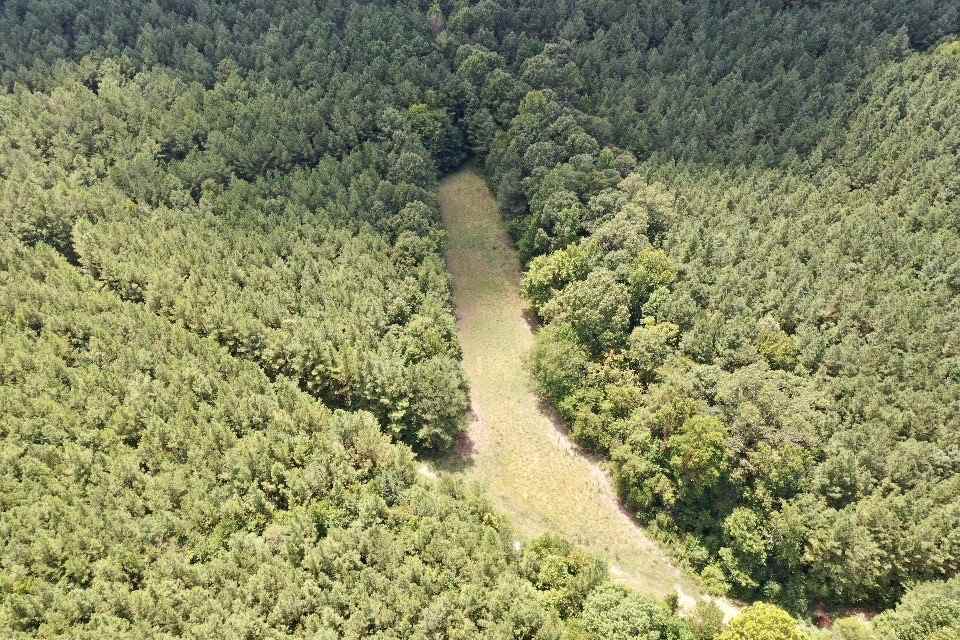 Lake Rd - Photo 1