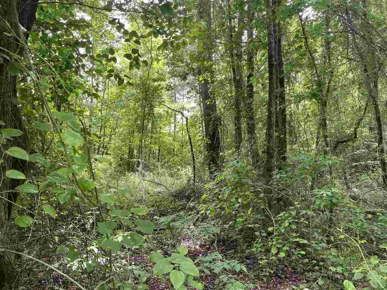 000 Sandyland Rd - Photo 1