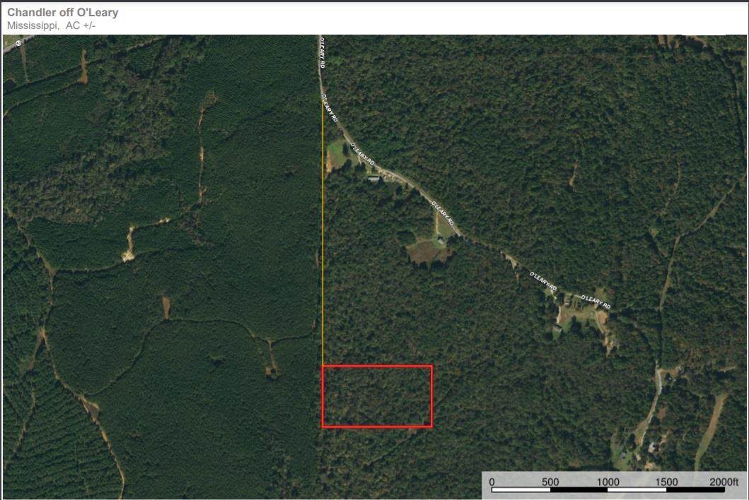 00 O'leary Rd - Photo 1