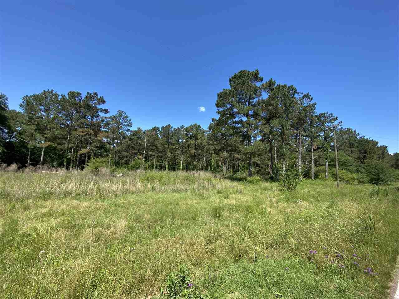 2200 Hwy 541 None - Photo 1