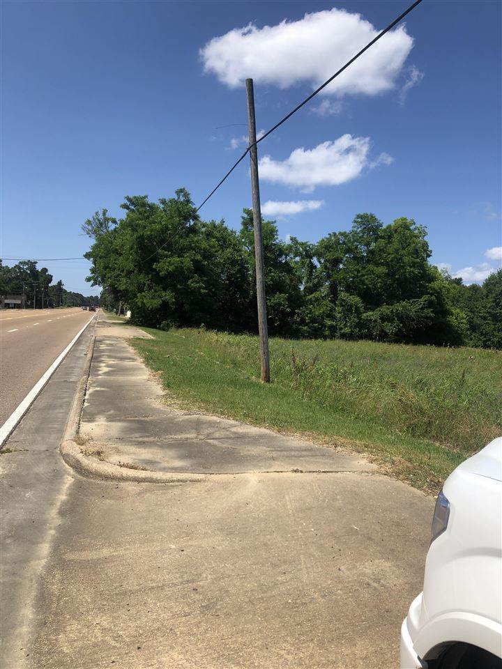 000 Highway 51 - Photo 1