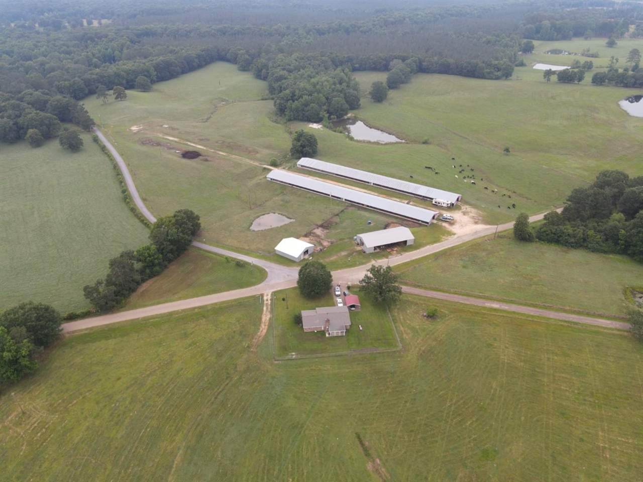 358 Doctor Magee Rd. - Photo 1