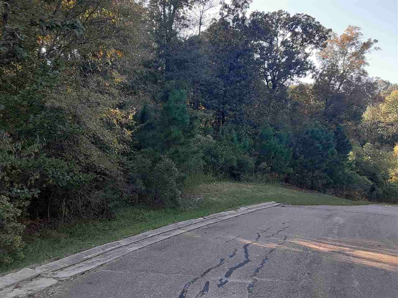 31 Chestnut Hill Rd - Photo 1