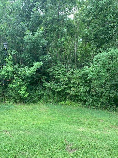 3 Wildwood Dr - Photo 1