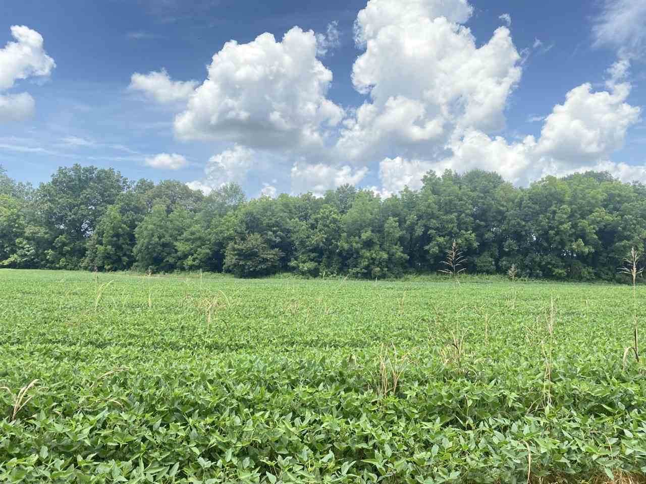 1549 Co Rd 99 - Photo 1