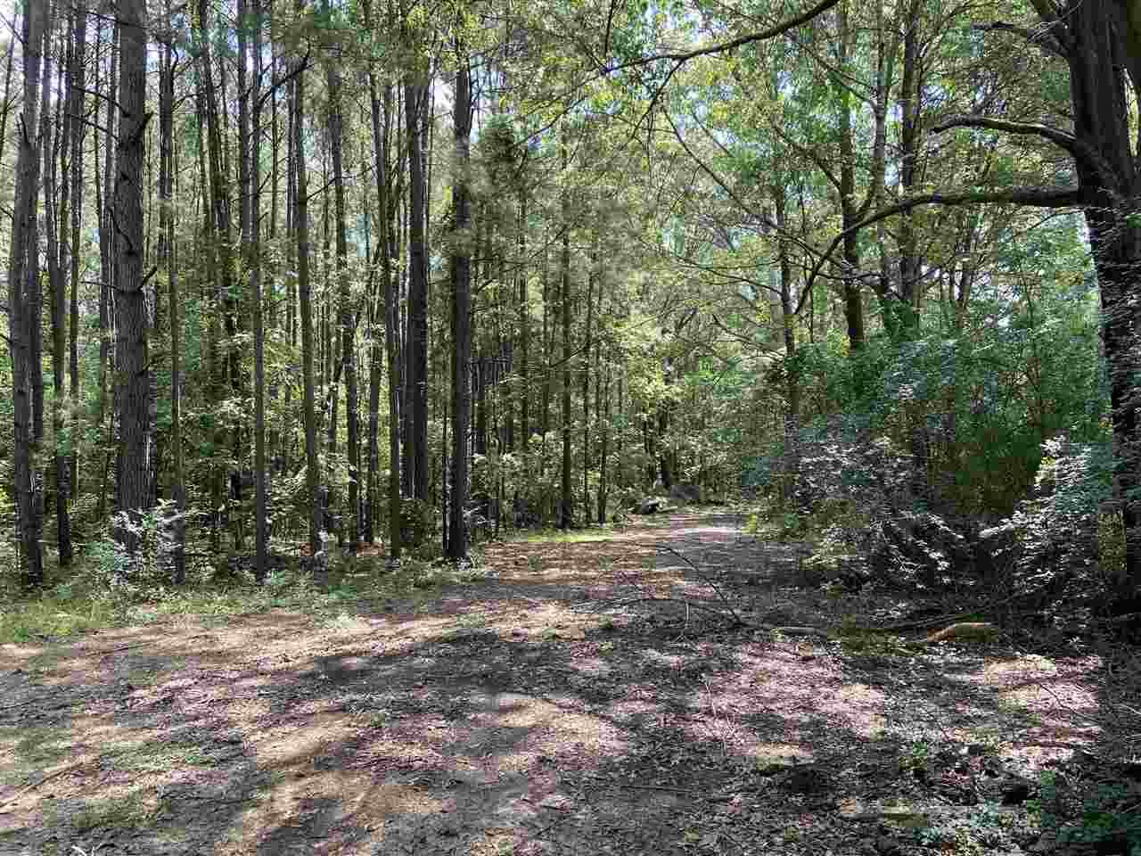 3526 Rainey Rd - Photo 1