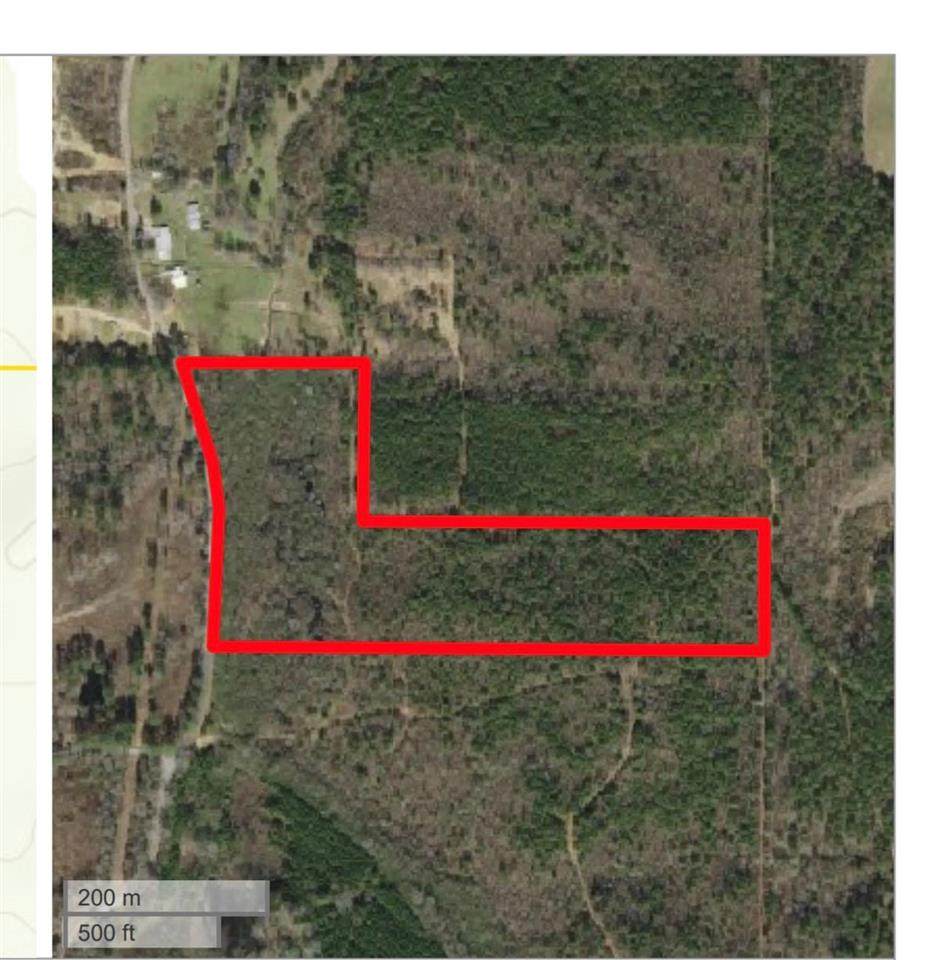 1705 Robert Butler Rd - Photo 1