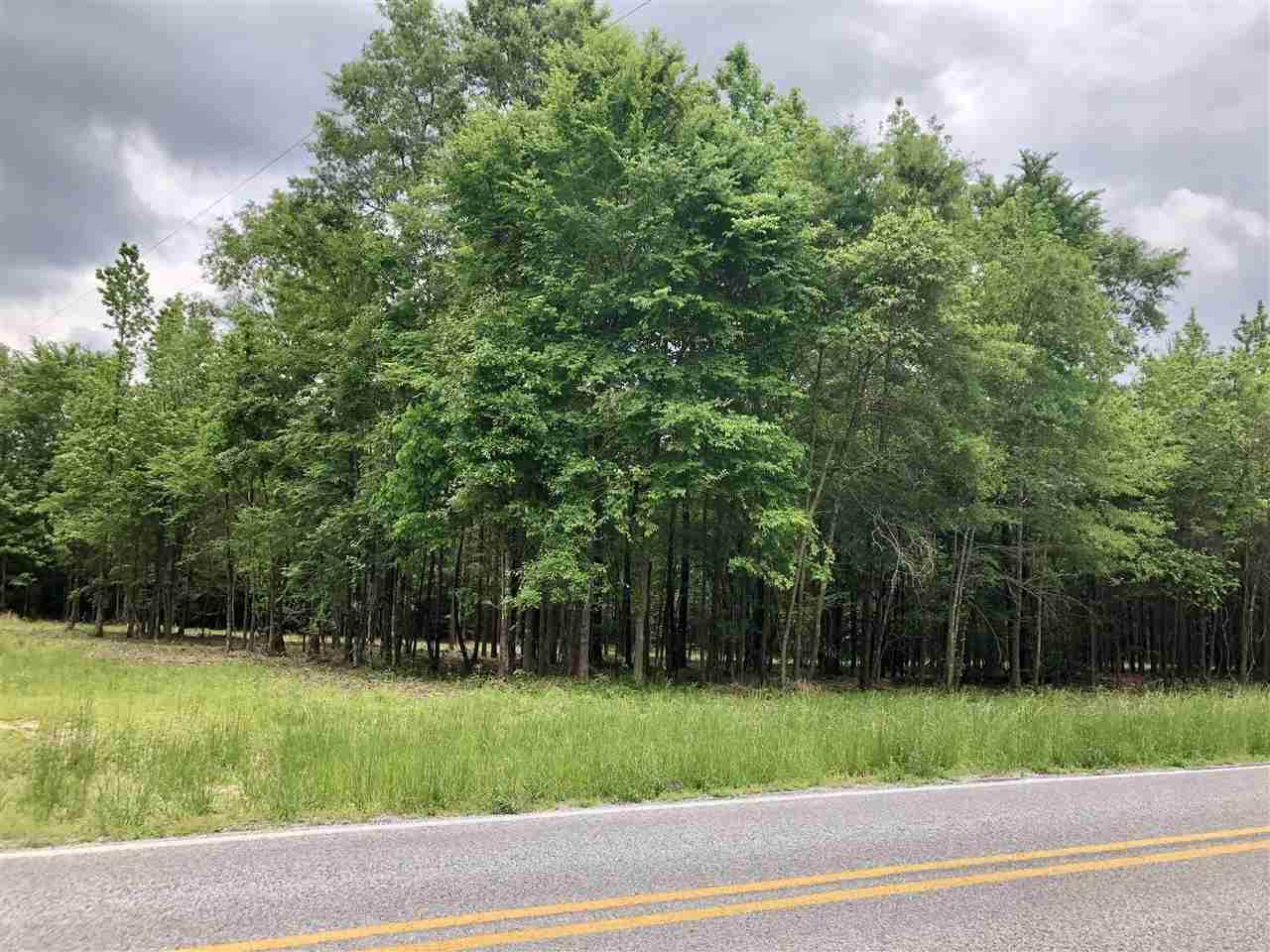 Tract 3 Highway 43 Hwy - Photo 1