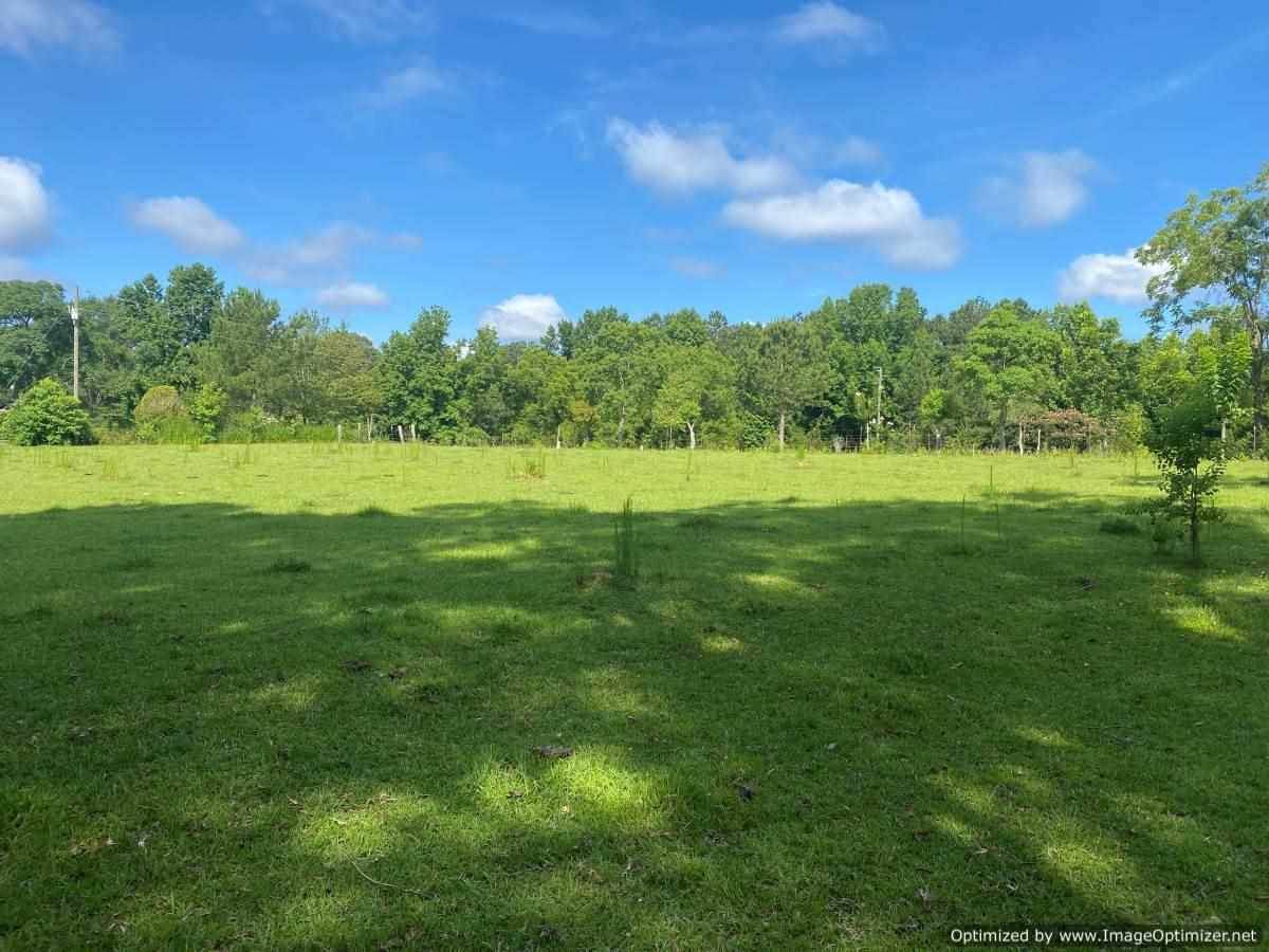 441 Foster Rd - Photo 1