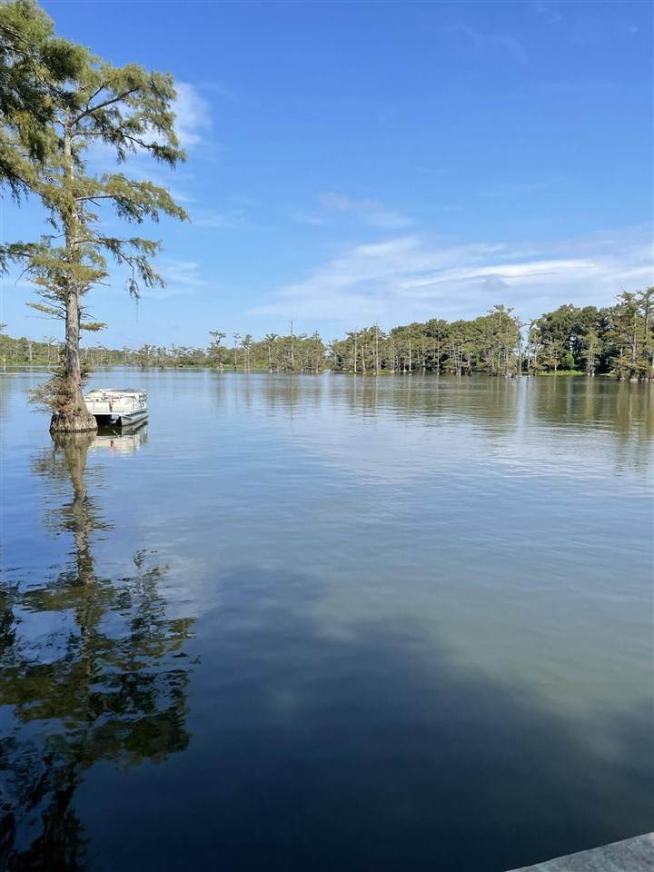 577 B. M. Smith Rd - Photo 1