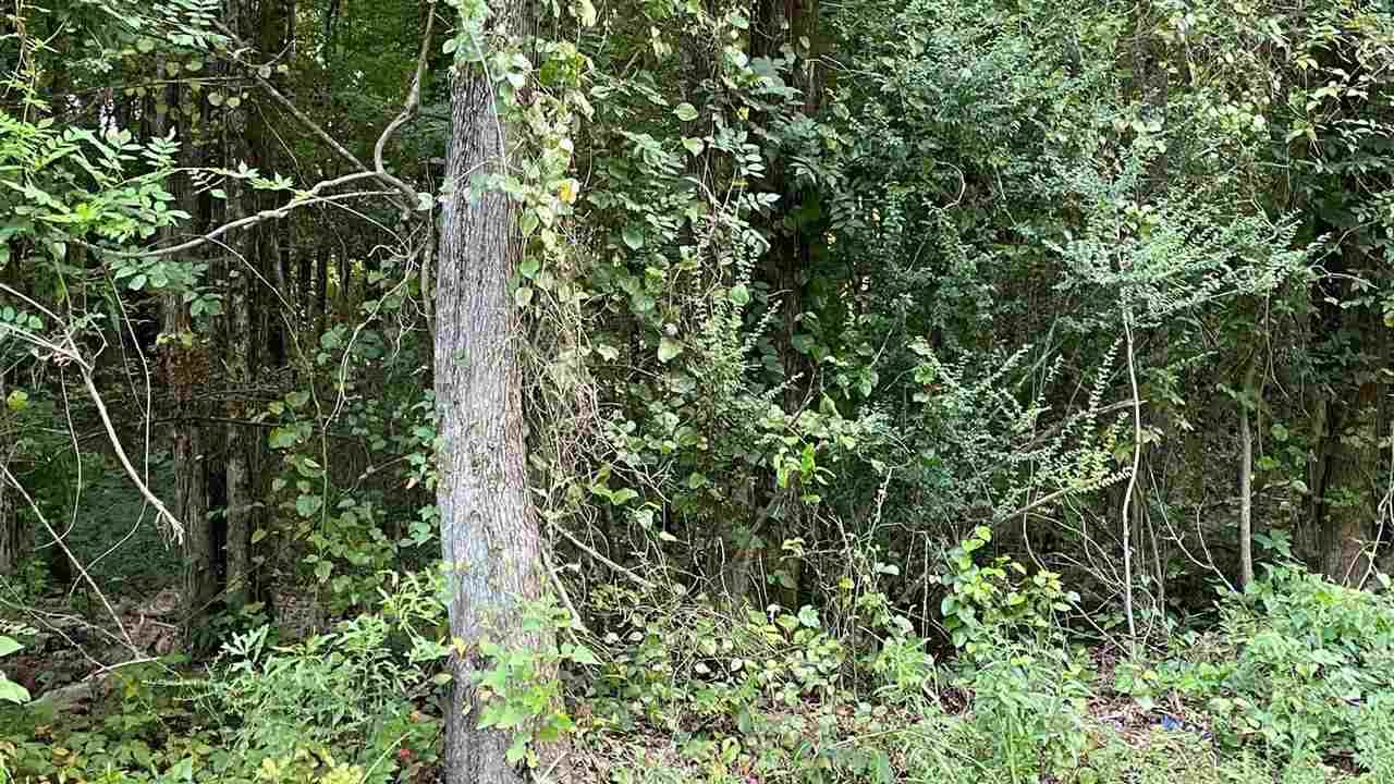 08 Deerfield Dr - Photo 1