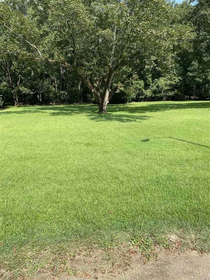 0 Duranville St - Photo 1