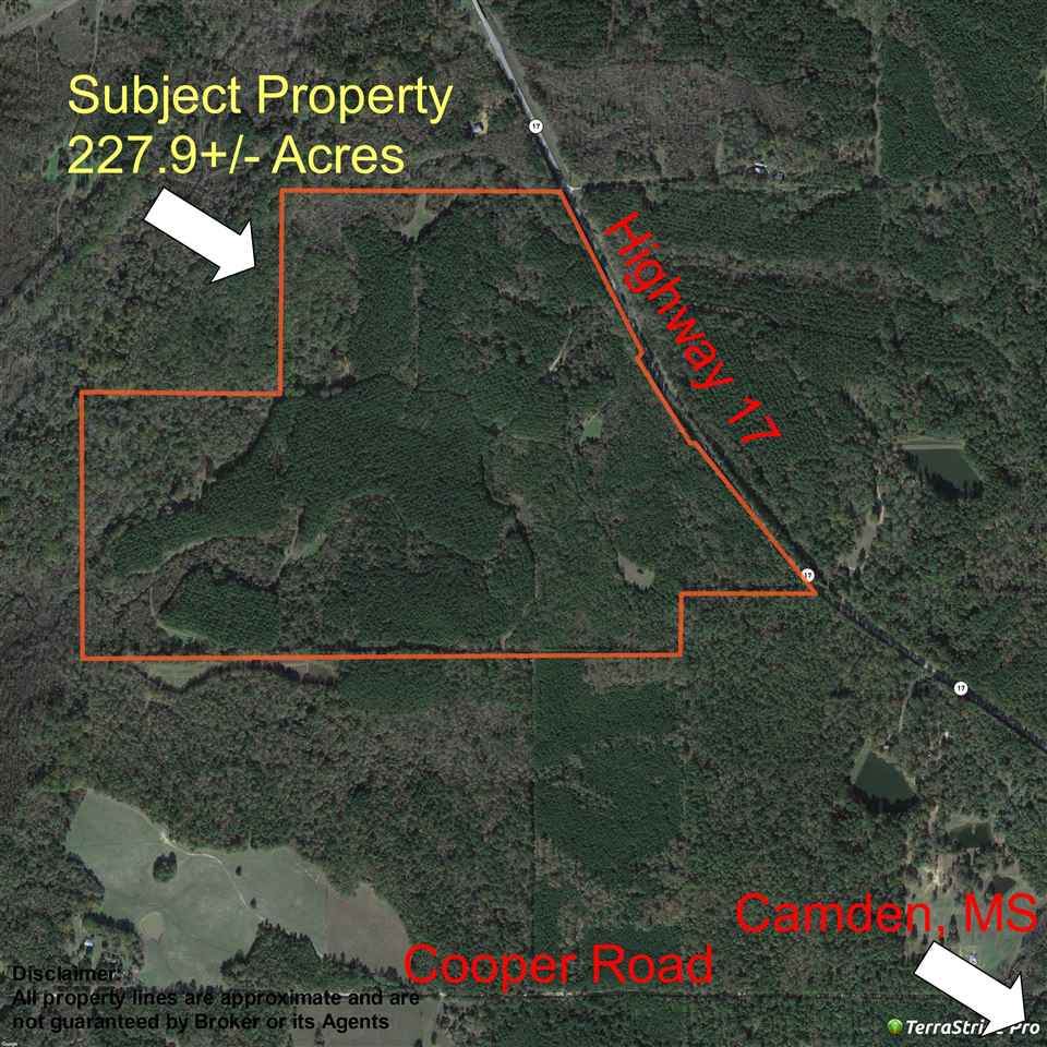 0 Hwy 17 - Photo 1