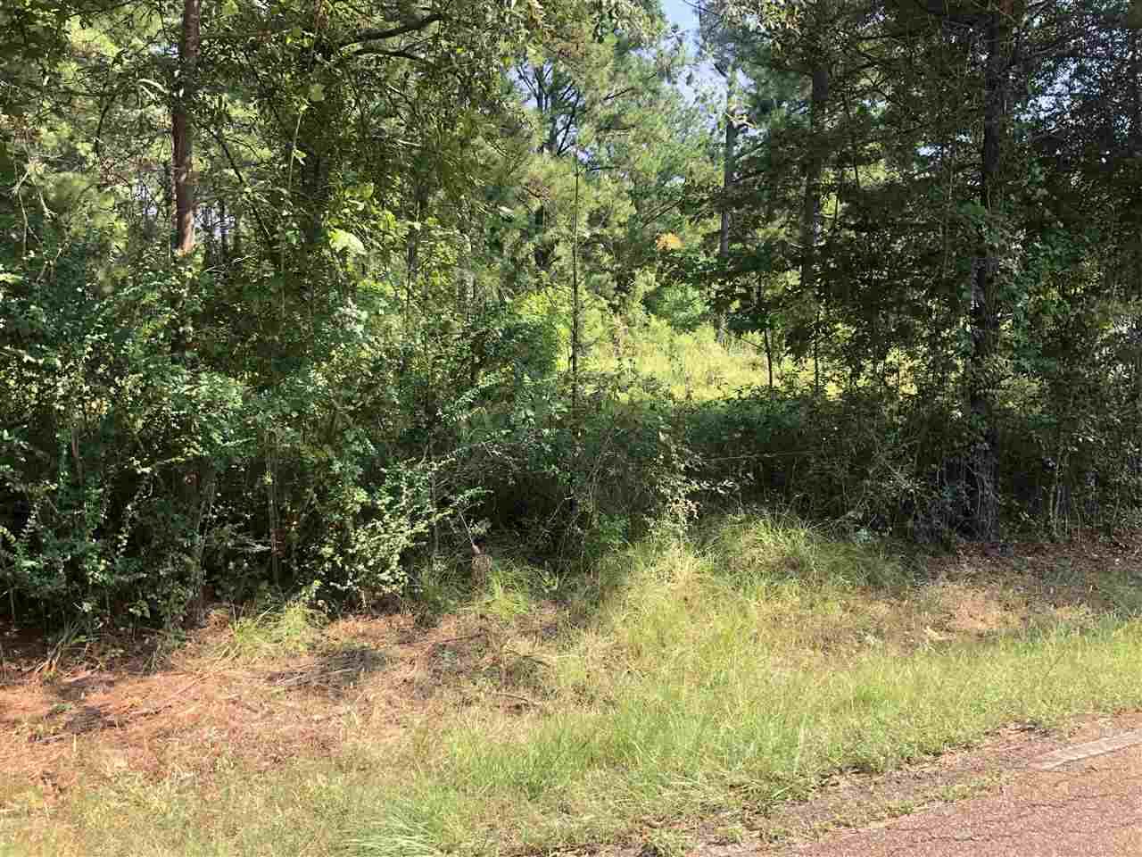 00 Rankin Rd - Photo 1