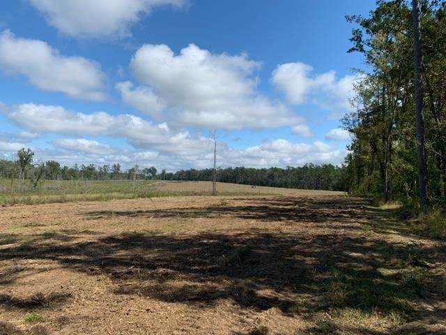 TRACT 2 Coal Bluff Rd - Photo 1