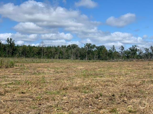 TRACT 9 Coal Bluff Rd - Photo 1