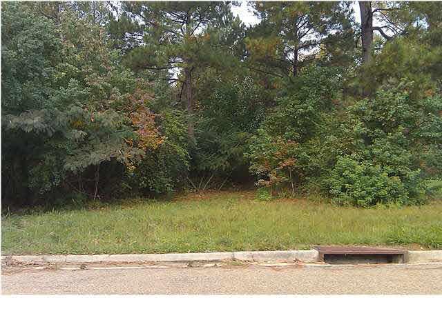0 Watersview St - Photo 1