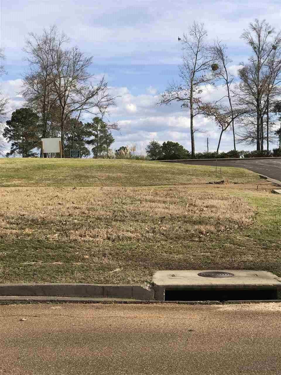 Lot 222 Lemoyne Blvd - Photo 1