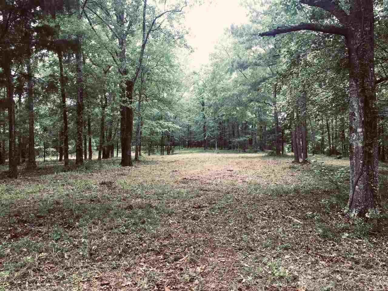Palestine Rd - Photo 1 Palestine Rd - Photo 1