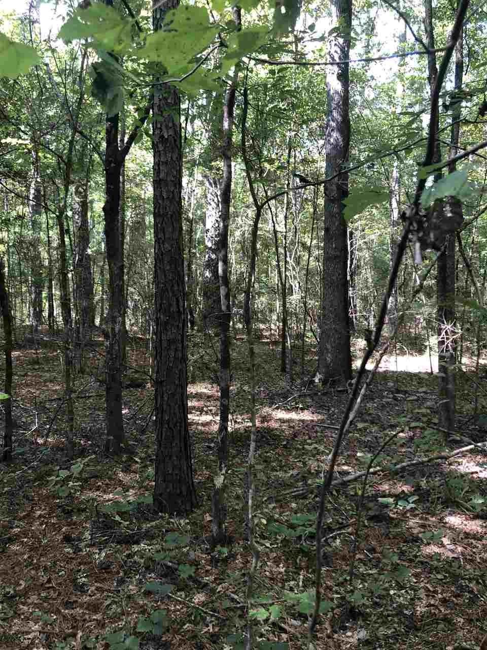 0 Grown Williams Rd - Photo 1