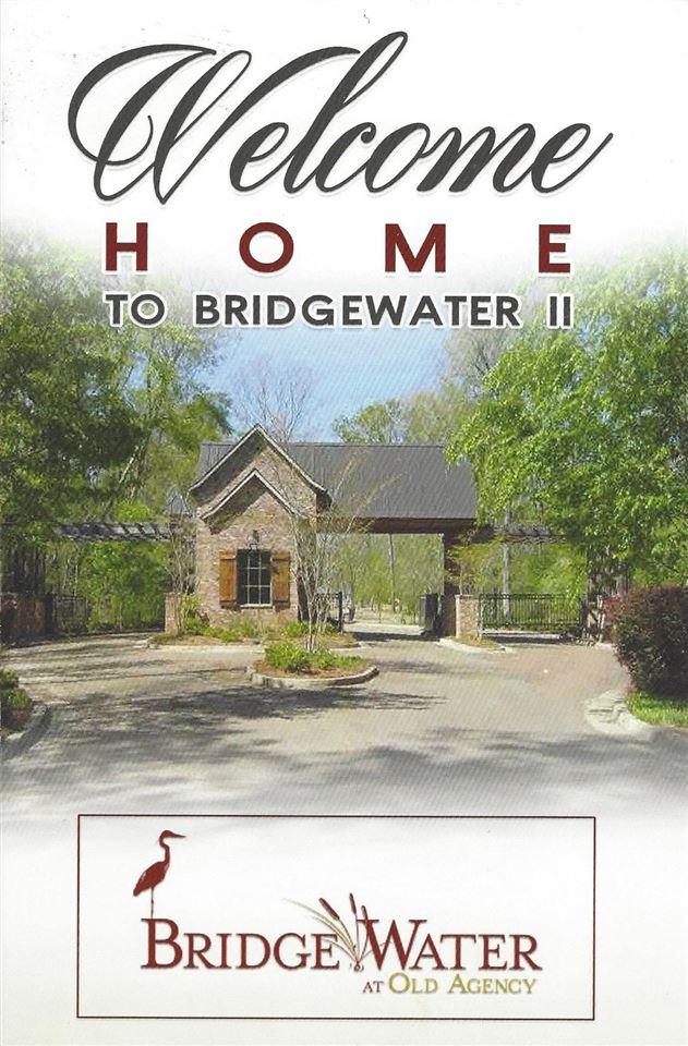 Lot 11 Bridgewater Bend - Photo 1