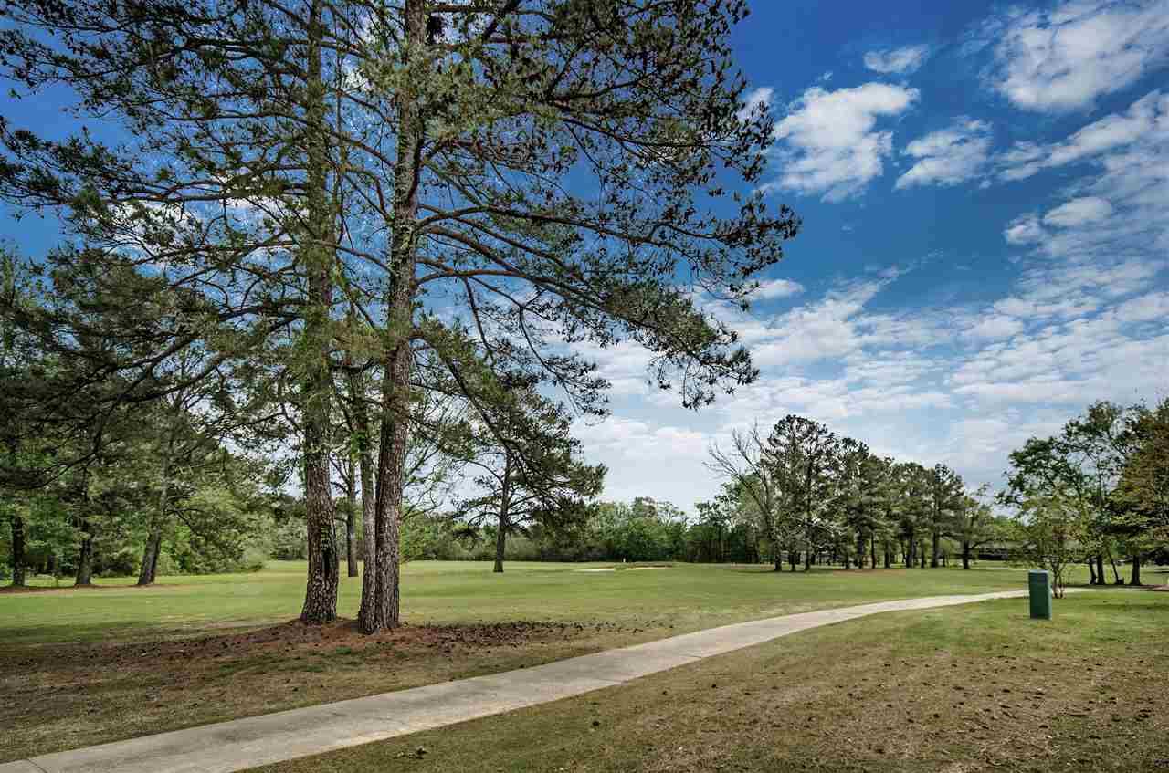 443 Meadowgreen Ln - Photo 1