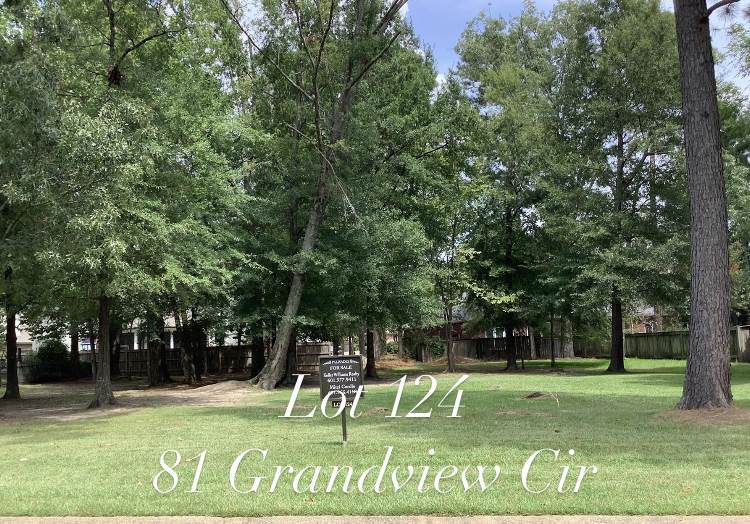 81 Grandview Cir - Photo 1