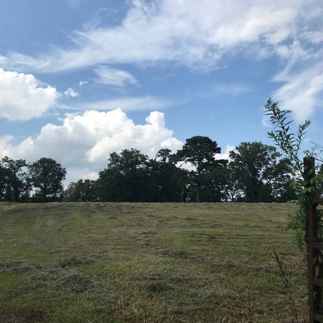 276 Hurdle Rd - Photo 1