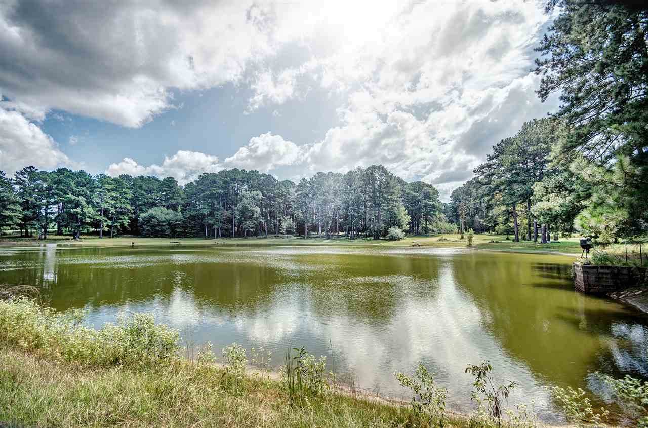 1291 Pat Luckett Rd - Photo 1