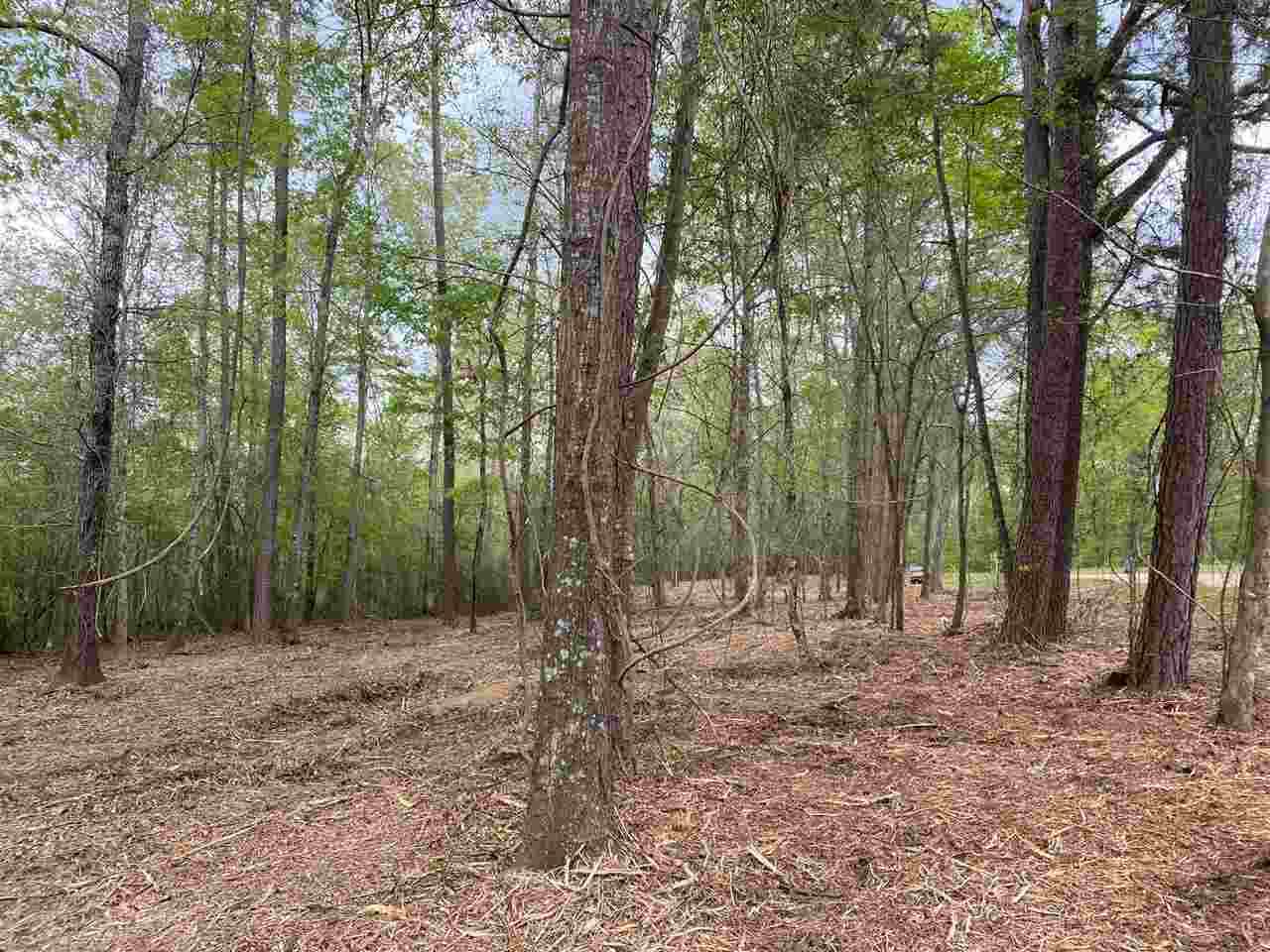 Lot 1 Shiloh Rd - Photo 1