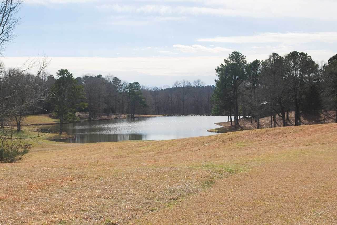 13785 Hwy 433 Hwy - Photo 1