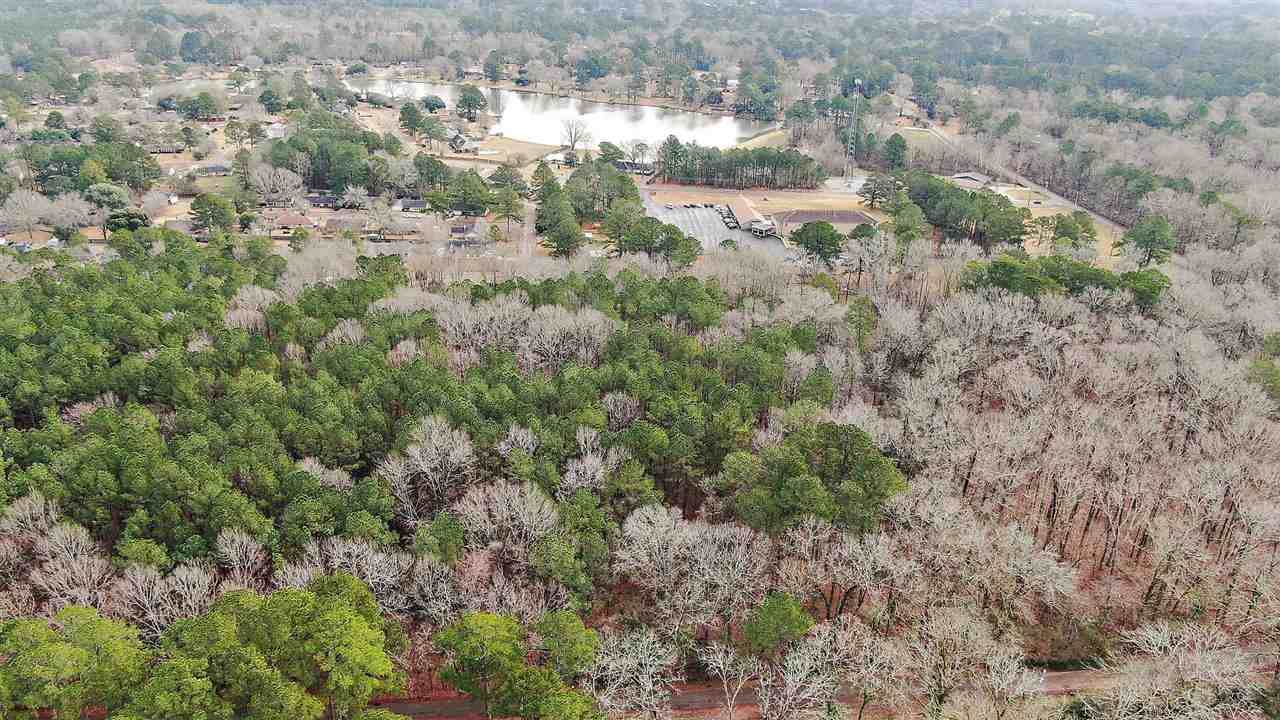 0 Lake Catherine Dr - Photo 1