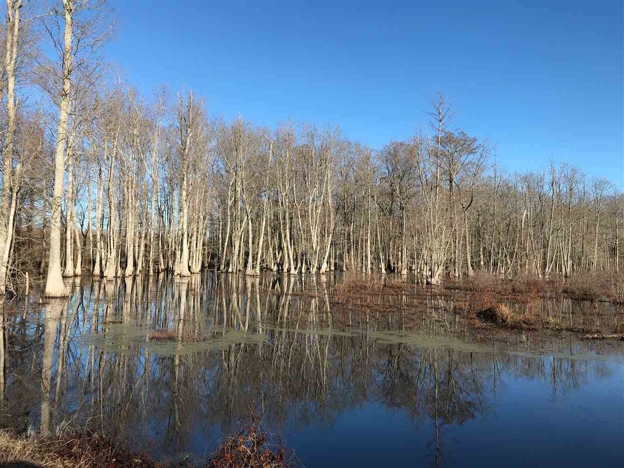 2166 Marks Rd - Photo 1