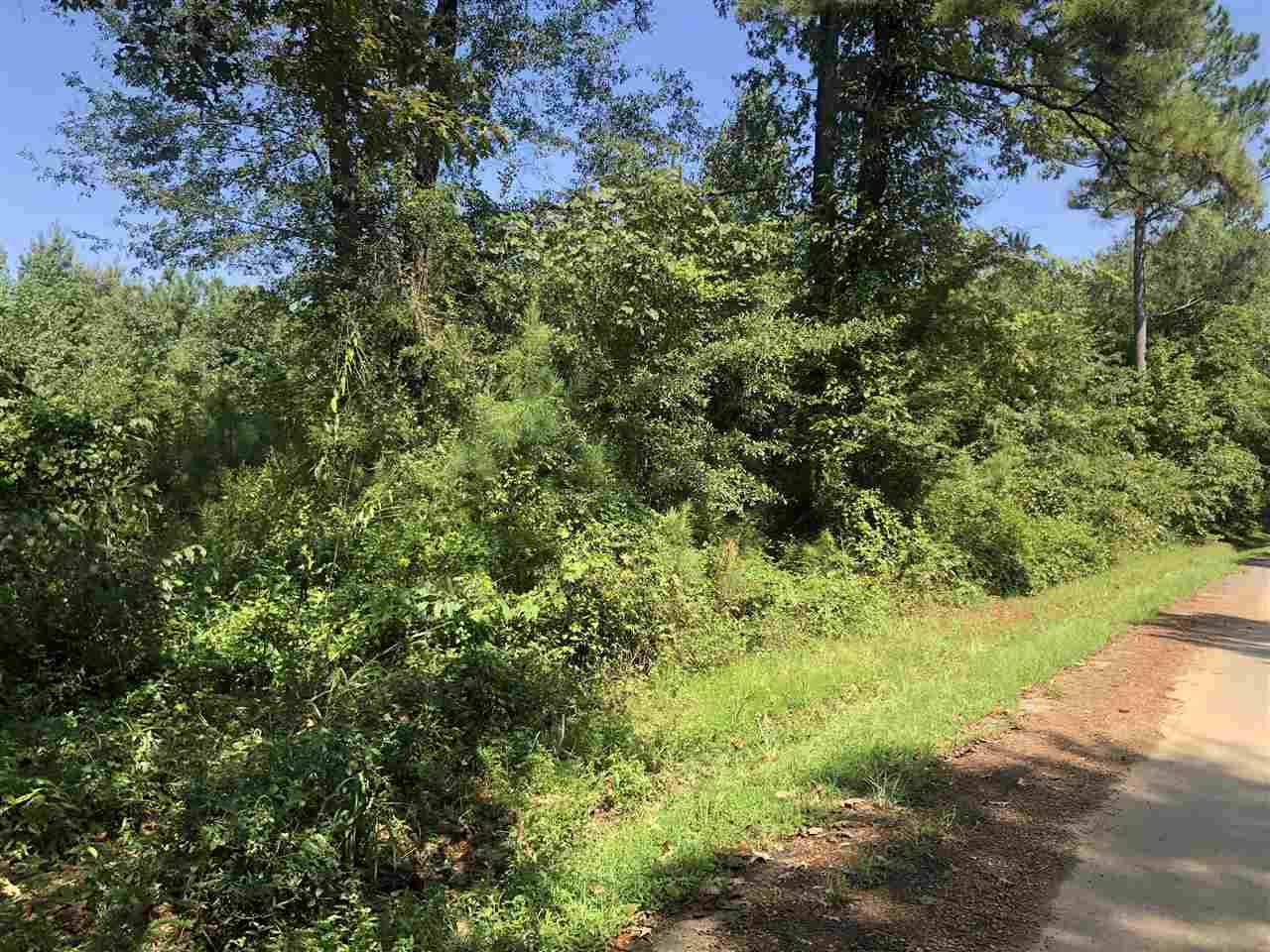 352 Whiddon Rd - Photo 1
