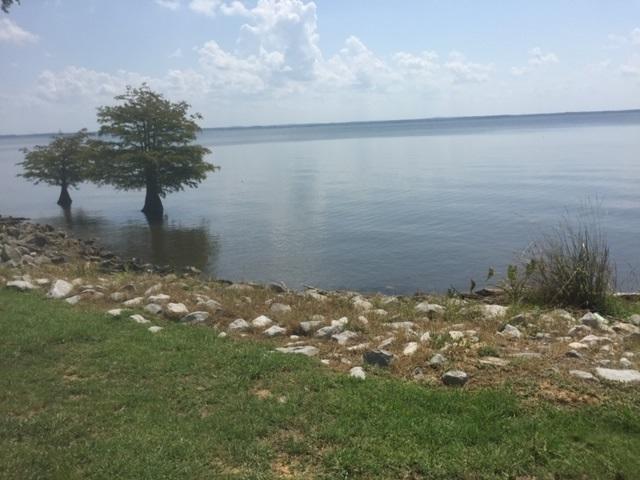104 D'iberville Ln - Photo 1