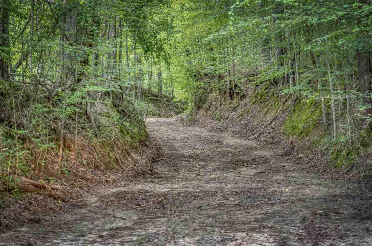00 Russellville Rd. - Photo 1