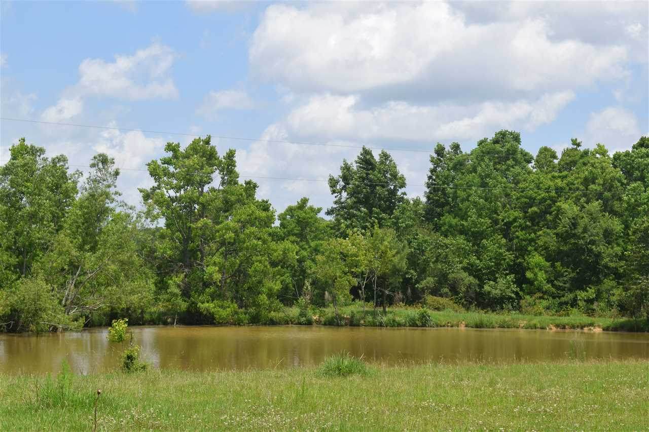 1201 Brister Rd - Photo 1