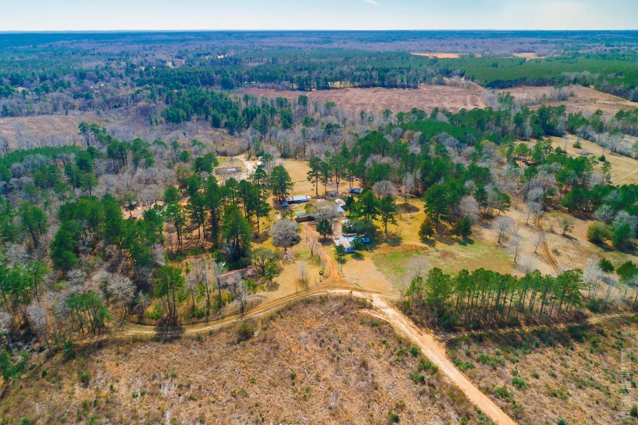 255 Artesia Springs - Photo 1