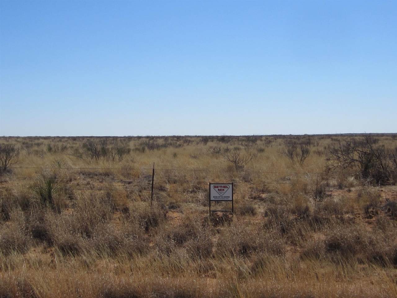 CR331 Gaines County - Photo 1