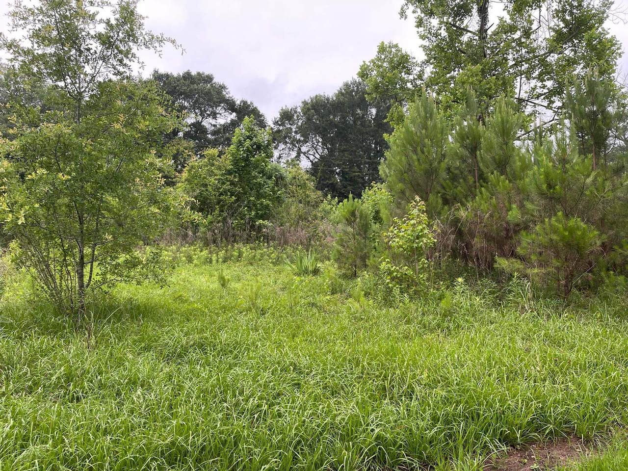 2353 Cr 4375 - Photo 1