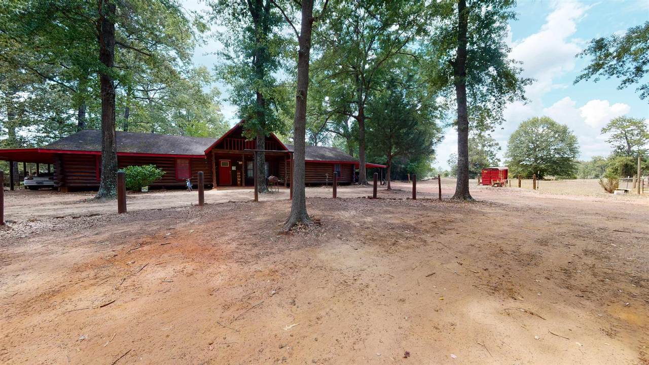 195 Parrish Branch - Photo 1