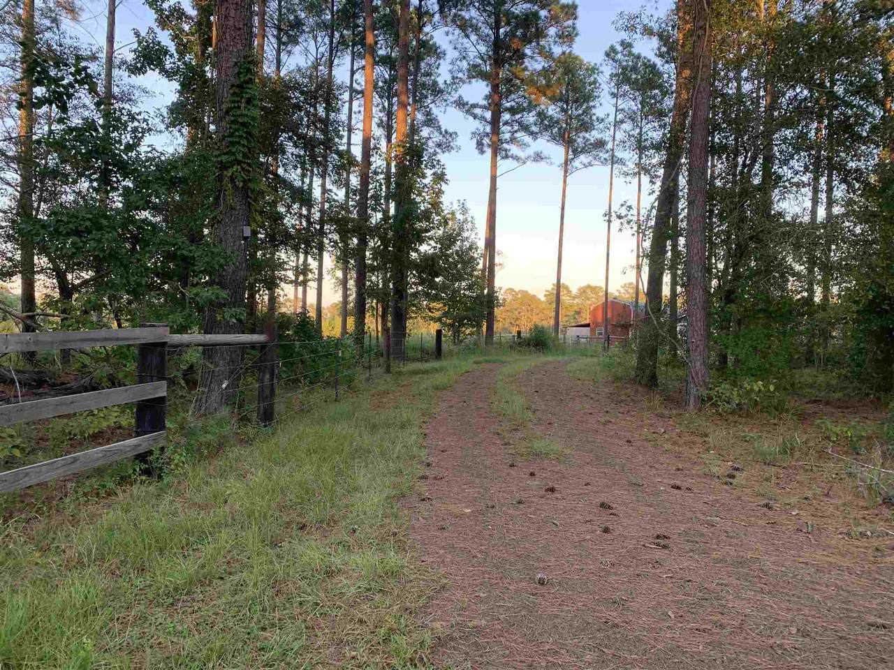 430 County Road 2153 - Photo 1