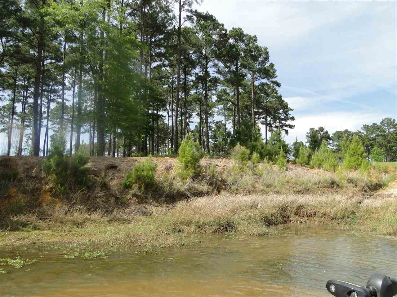 117 Old Tejas Trail West - Photo 1