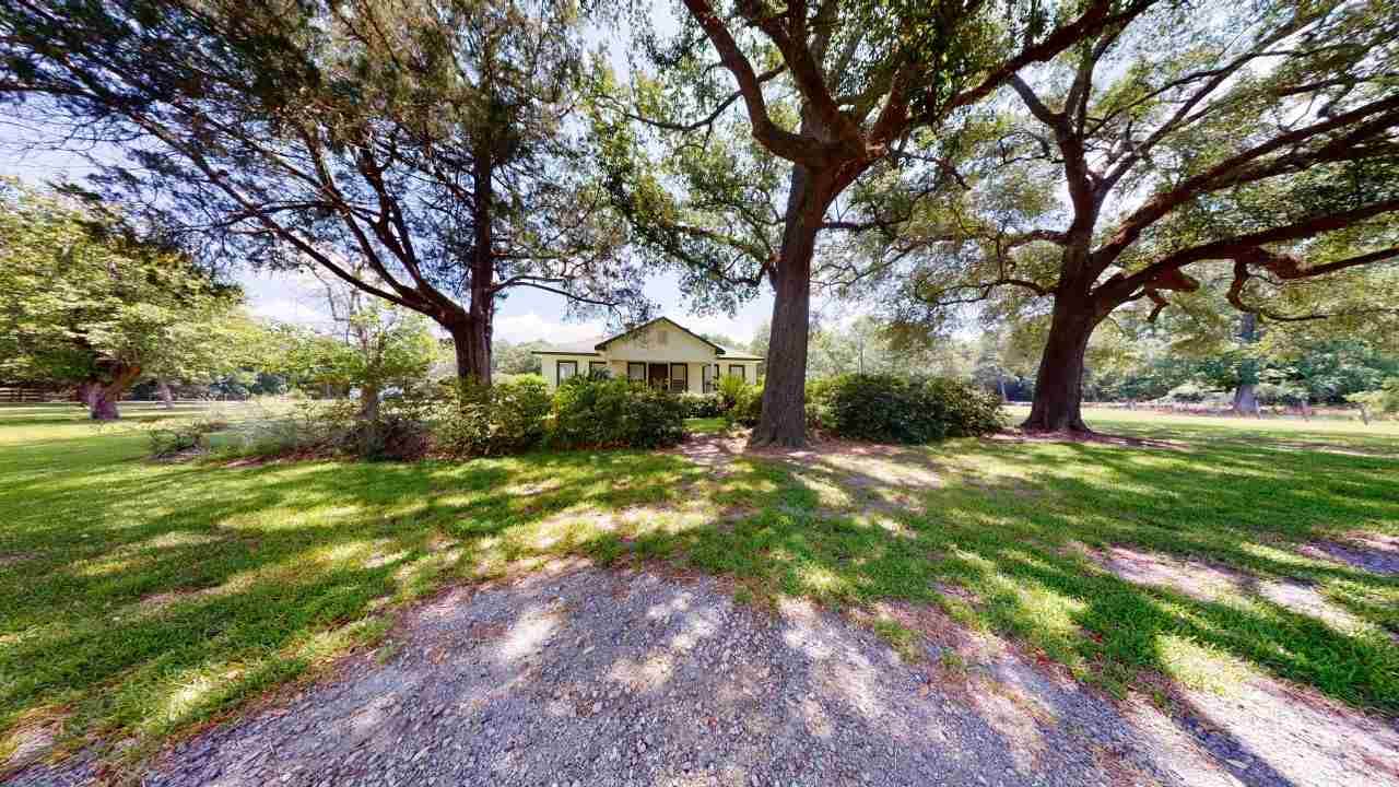 12485 Highway 87 S - Photo 1
