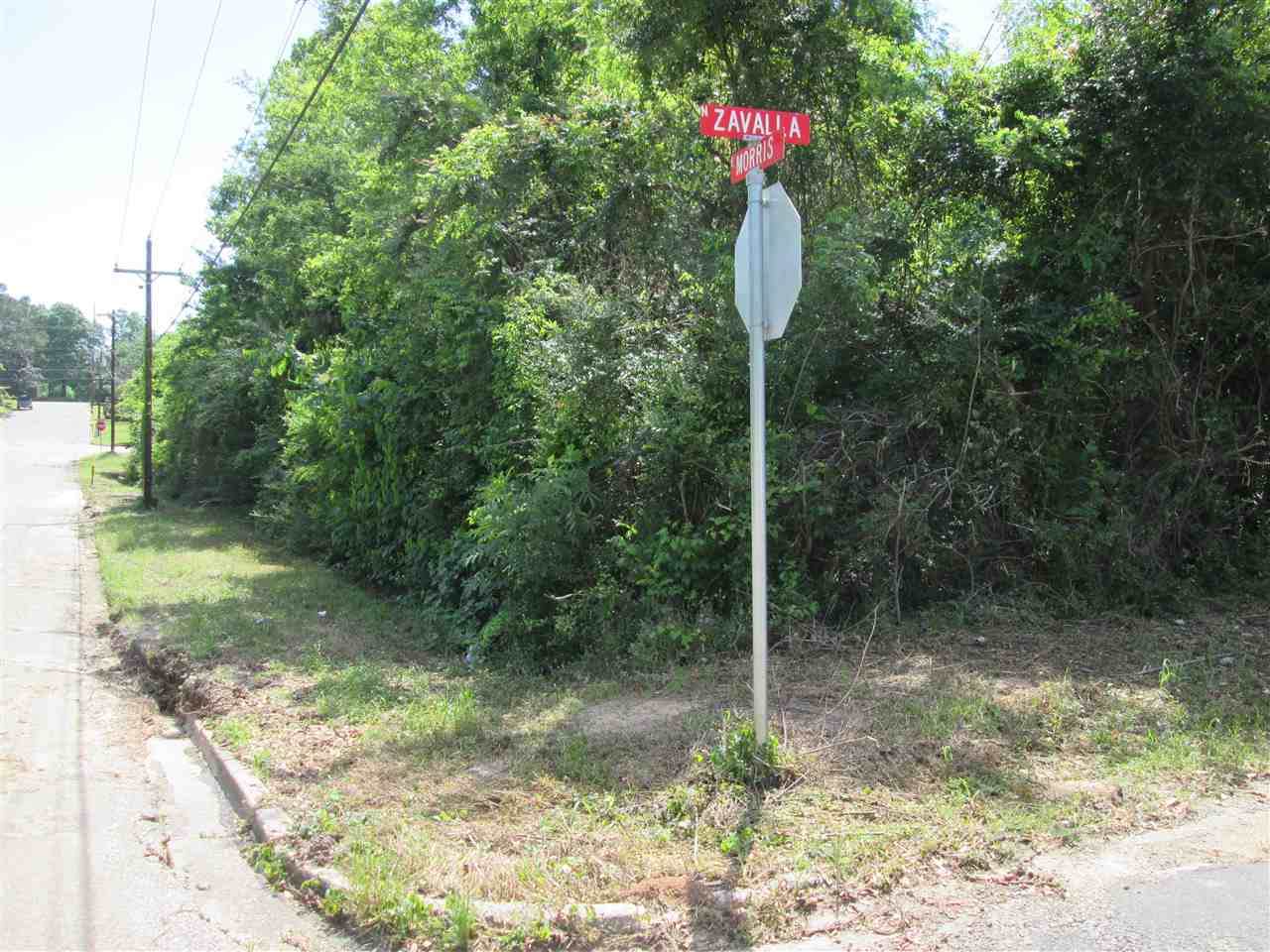 TBD Po Box 2503 - Photo 1