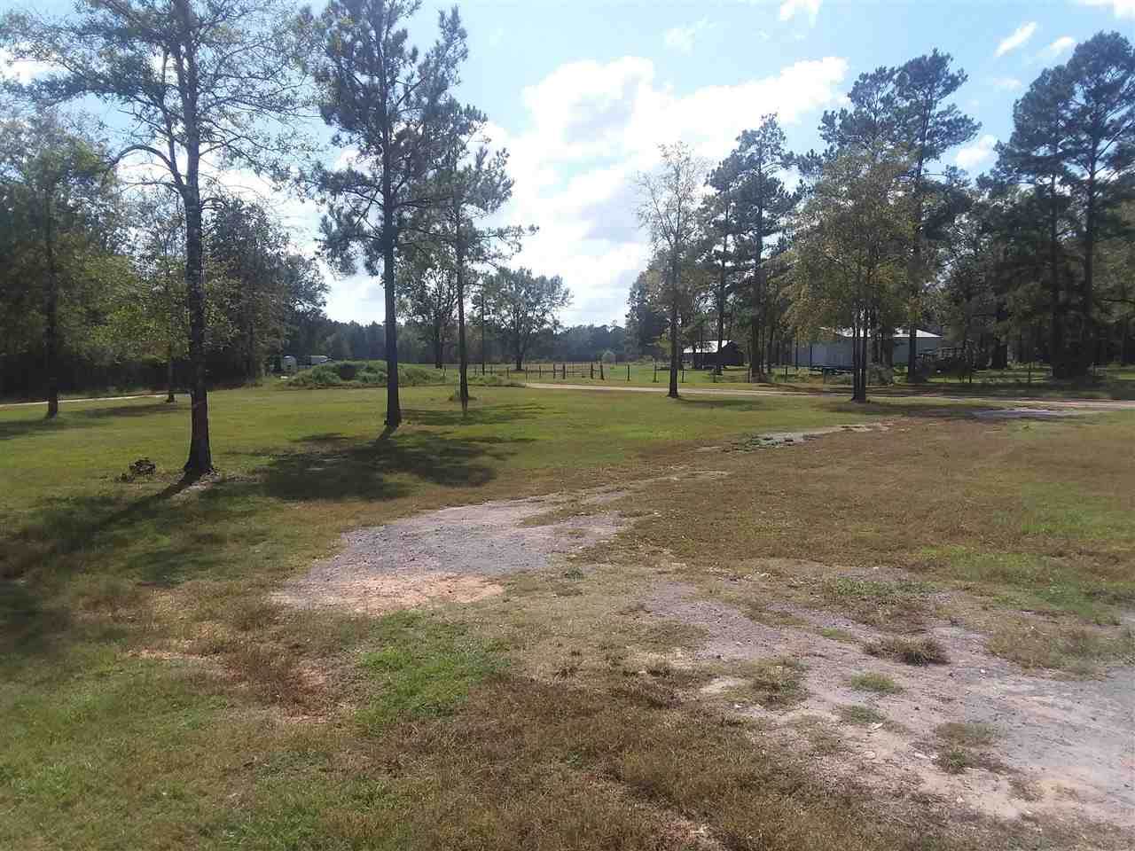 9155 County Road 701 - Photo 1