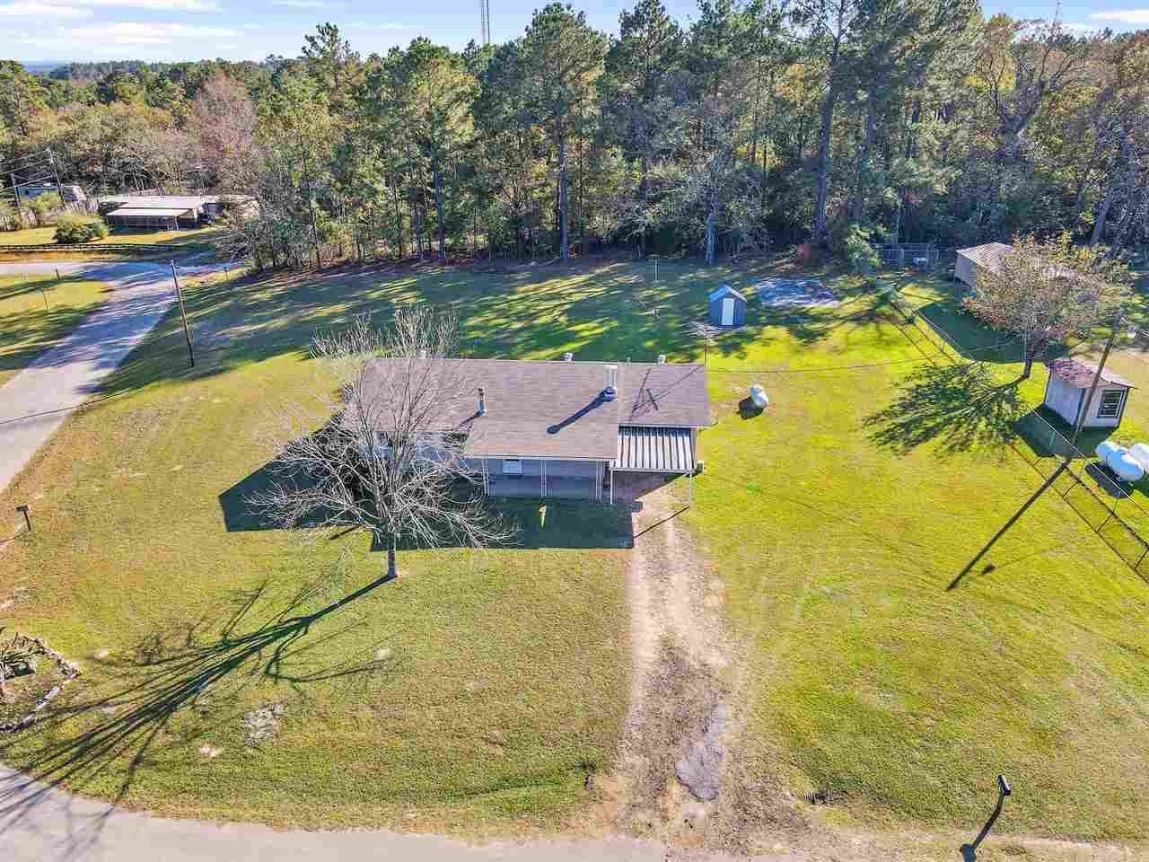 117 County Road 247 A - Photo 1