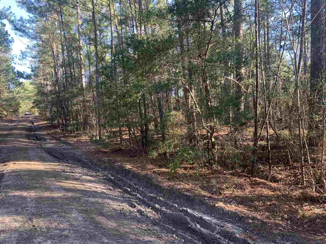 000-Lot 231, Section Tupelo Drive - Photo 1
