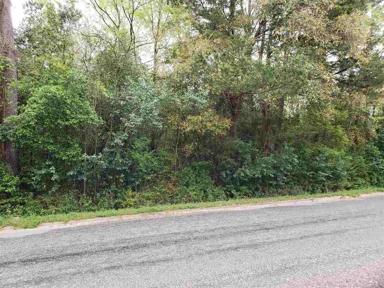 TBD Fletcher St - Photo 1